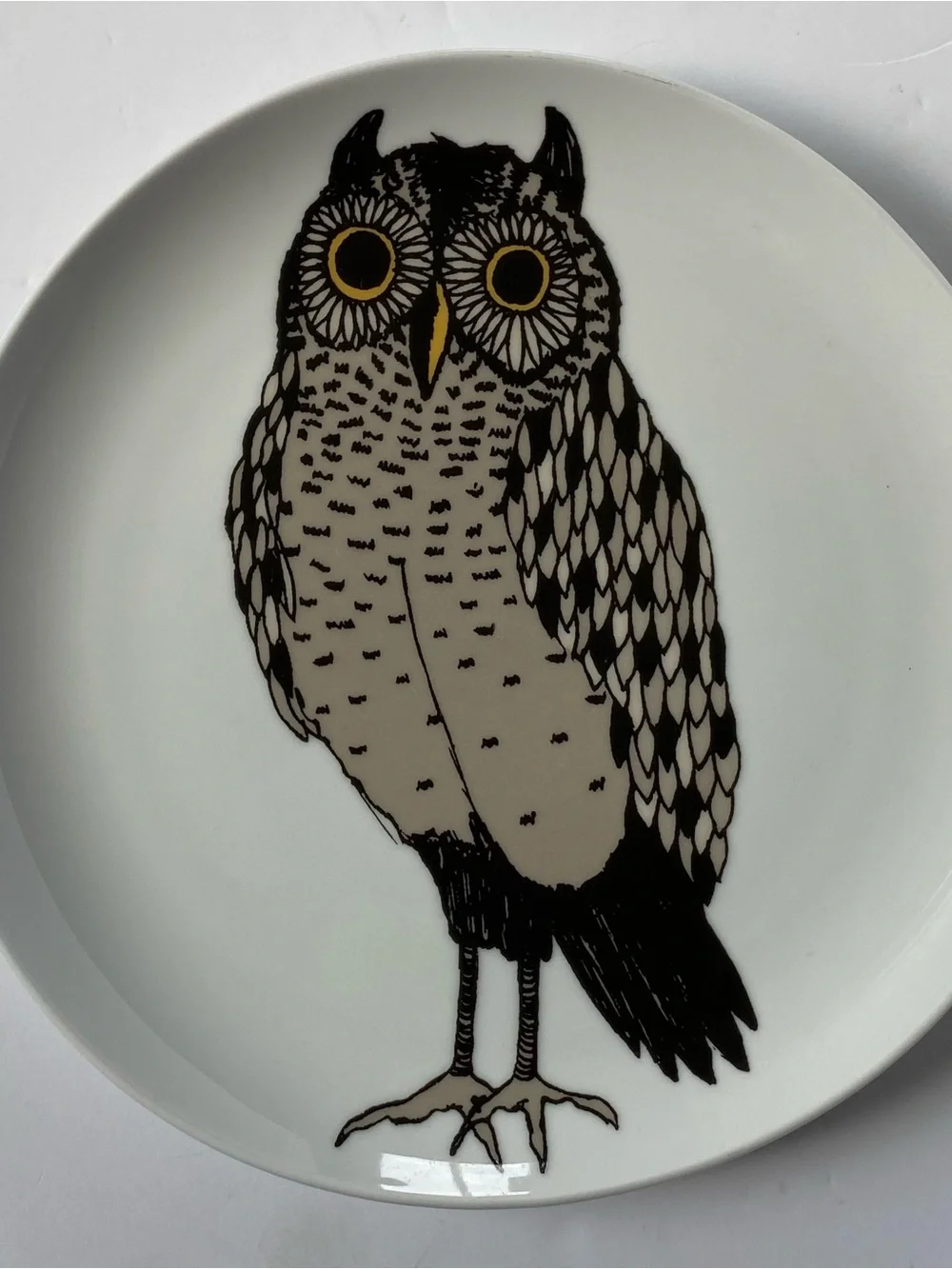 West Elm Owl Plate 8.5”Serving Art Drawing Display Bird Ceramic Birding EUC